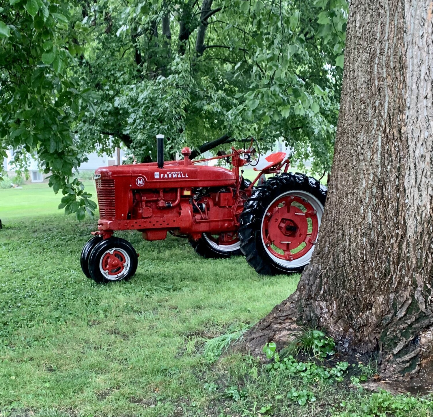 Farmall After The Rain