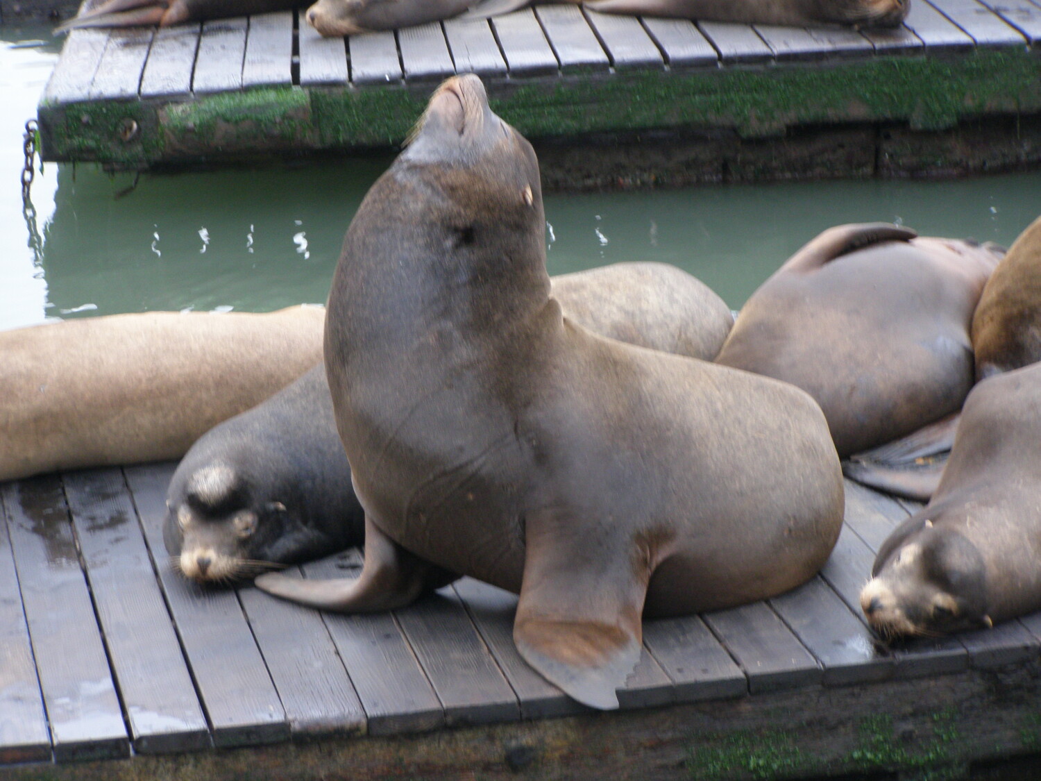 I'm so proud of my self