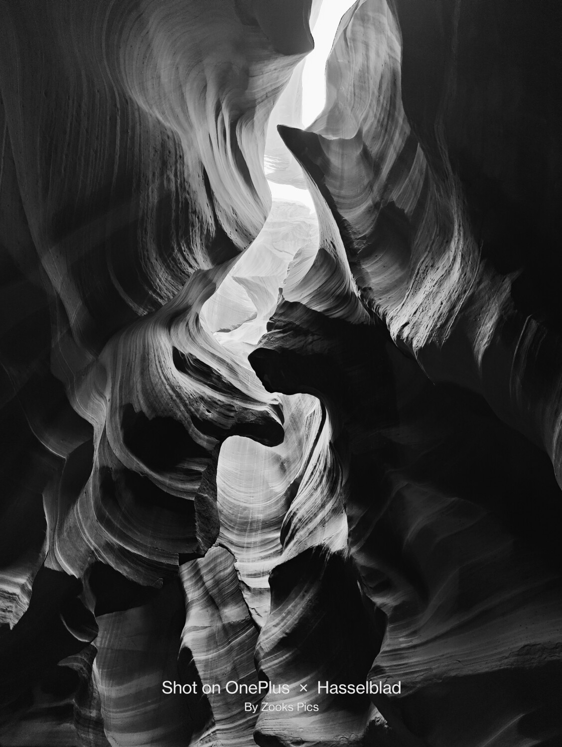 Canyon B&W