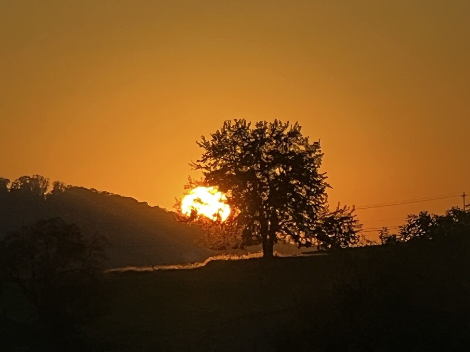 God’s Creation ❤️