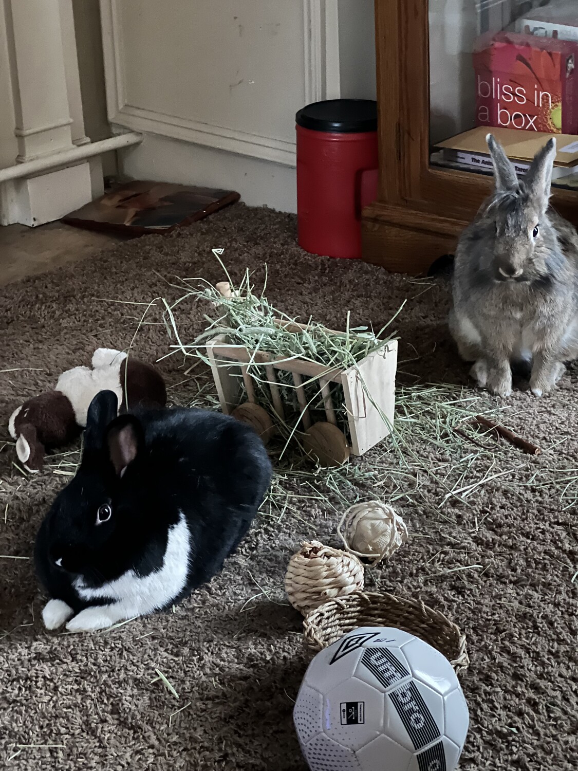 Bella Marie and Bo Bo