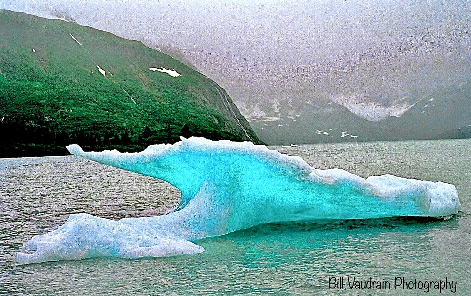 The Sky Fell to Earth