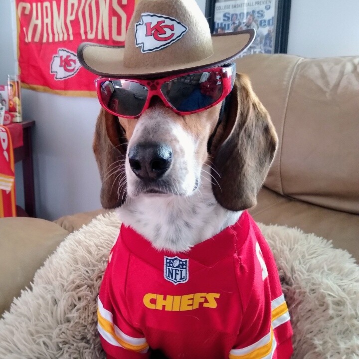 A new Sheriff is in town