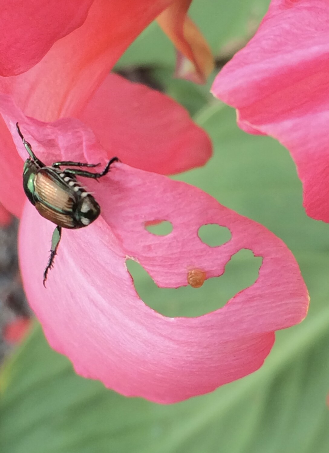 “My Work Here is Done”