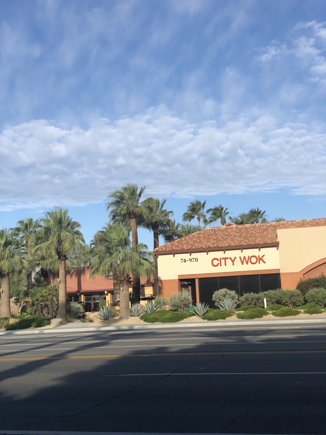 Majestic Painting in the Desert Sky