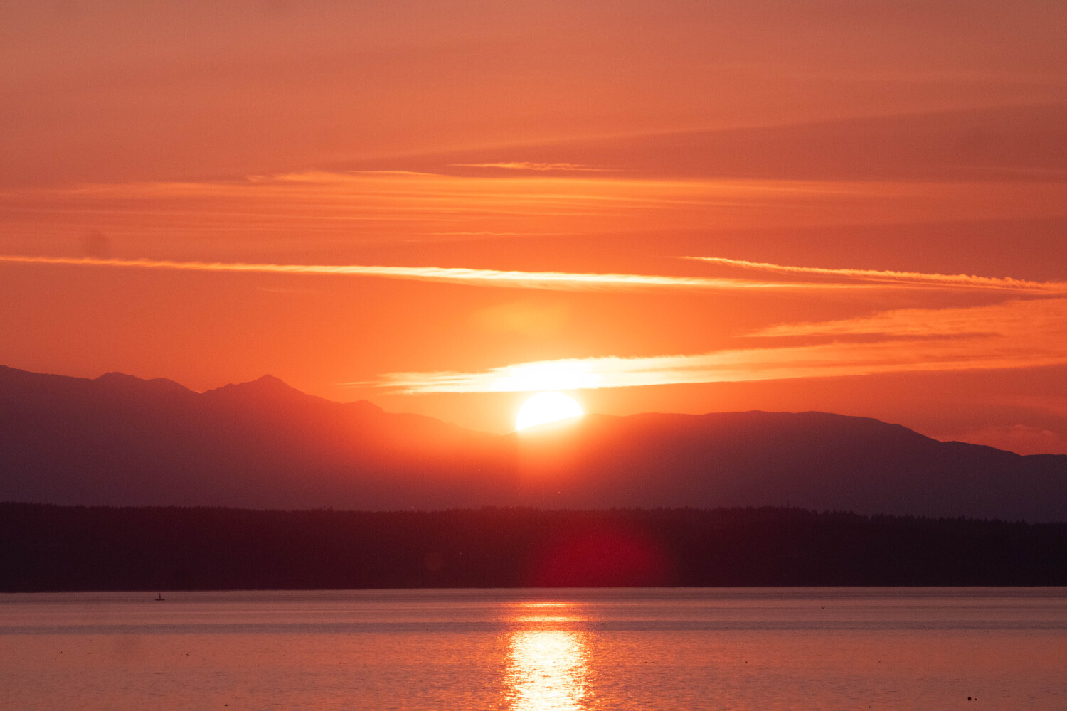 Sunset over the Olympics