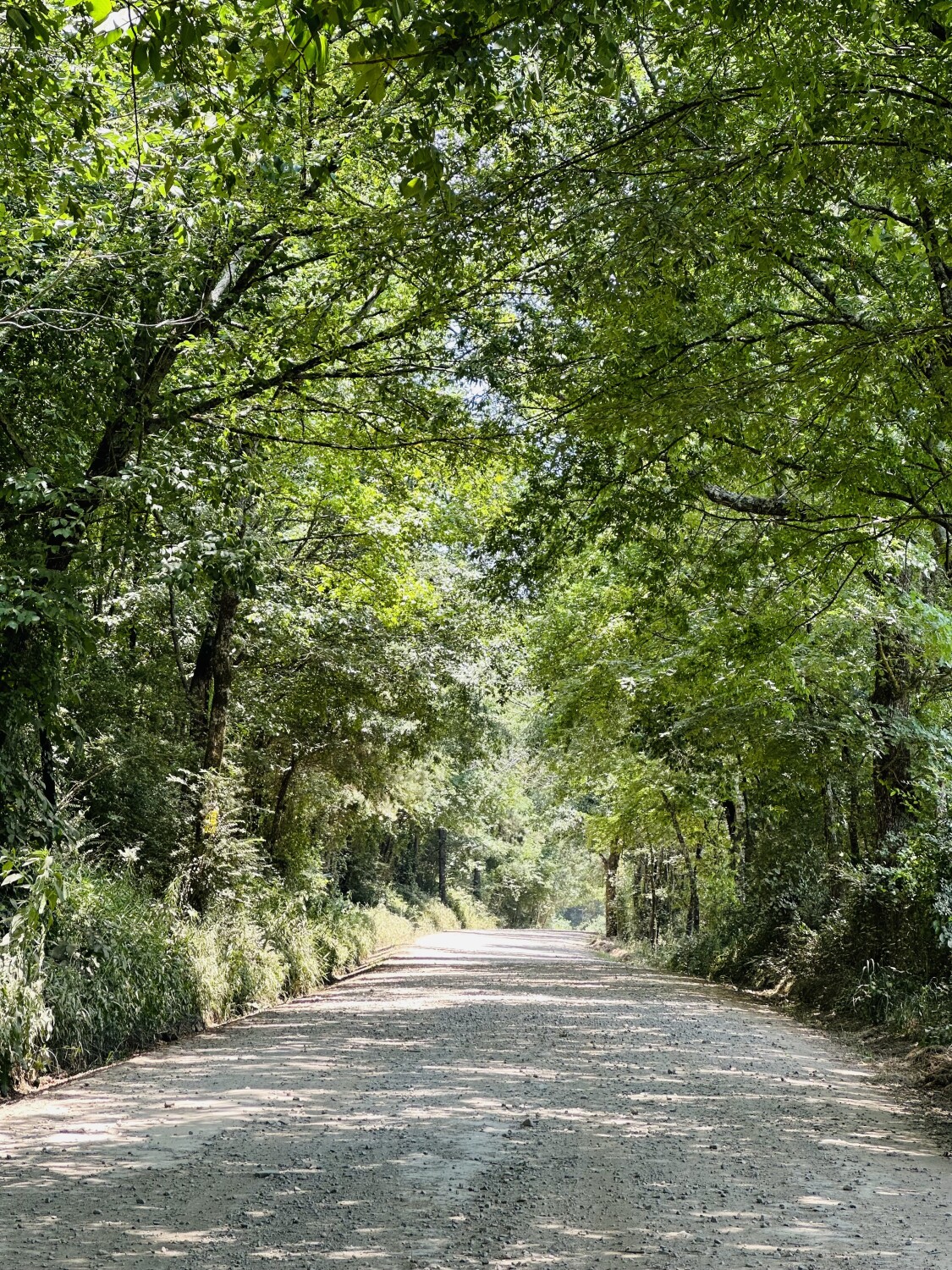 Country Road