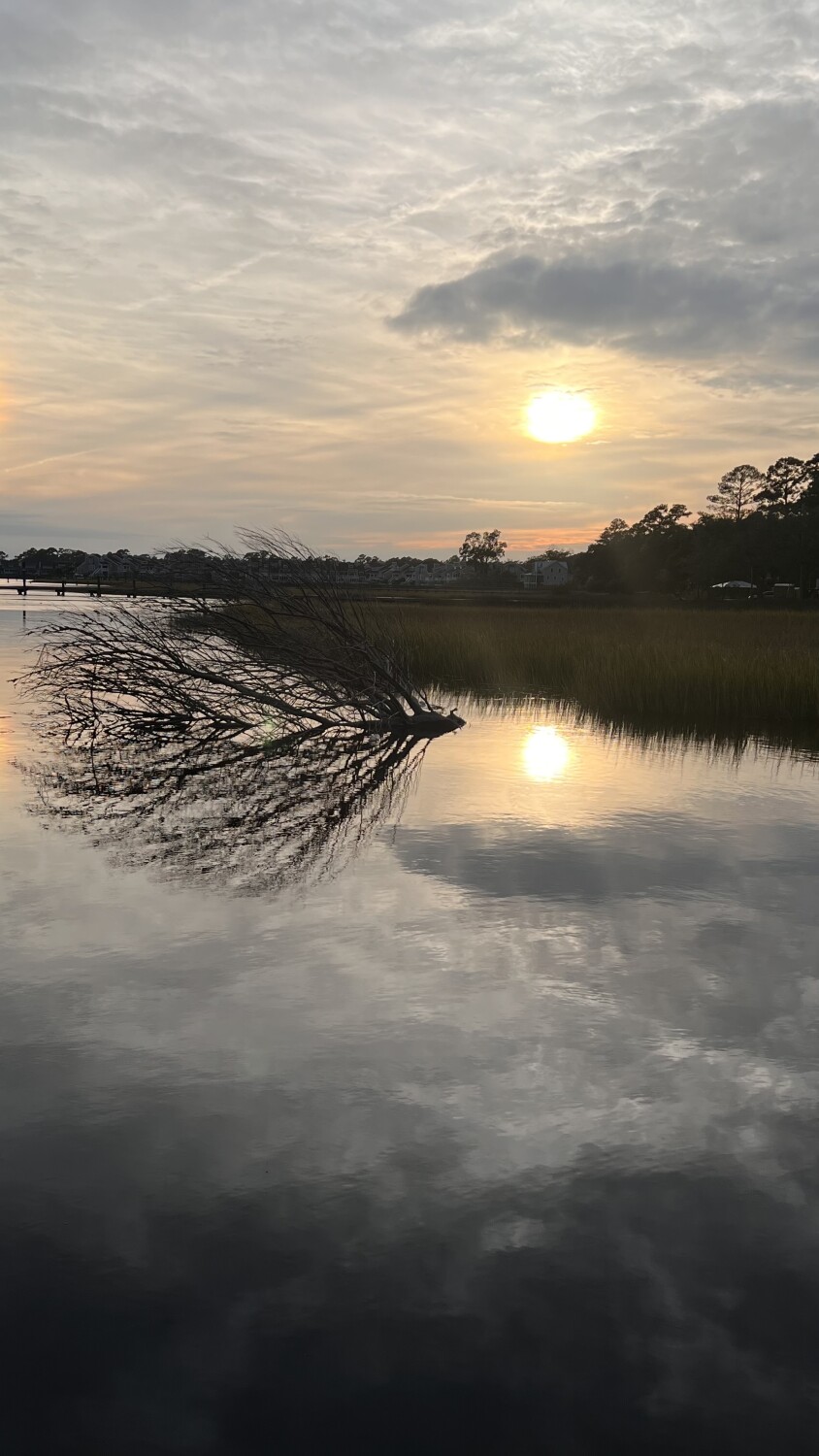 “At least I’ve seen the sun”