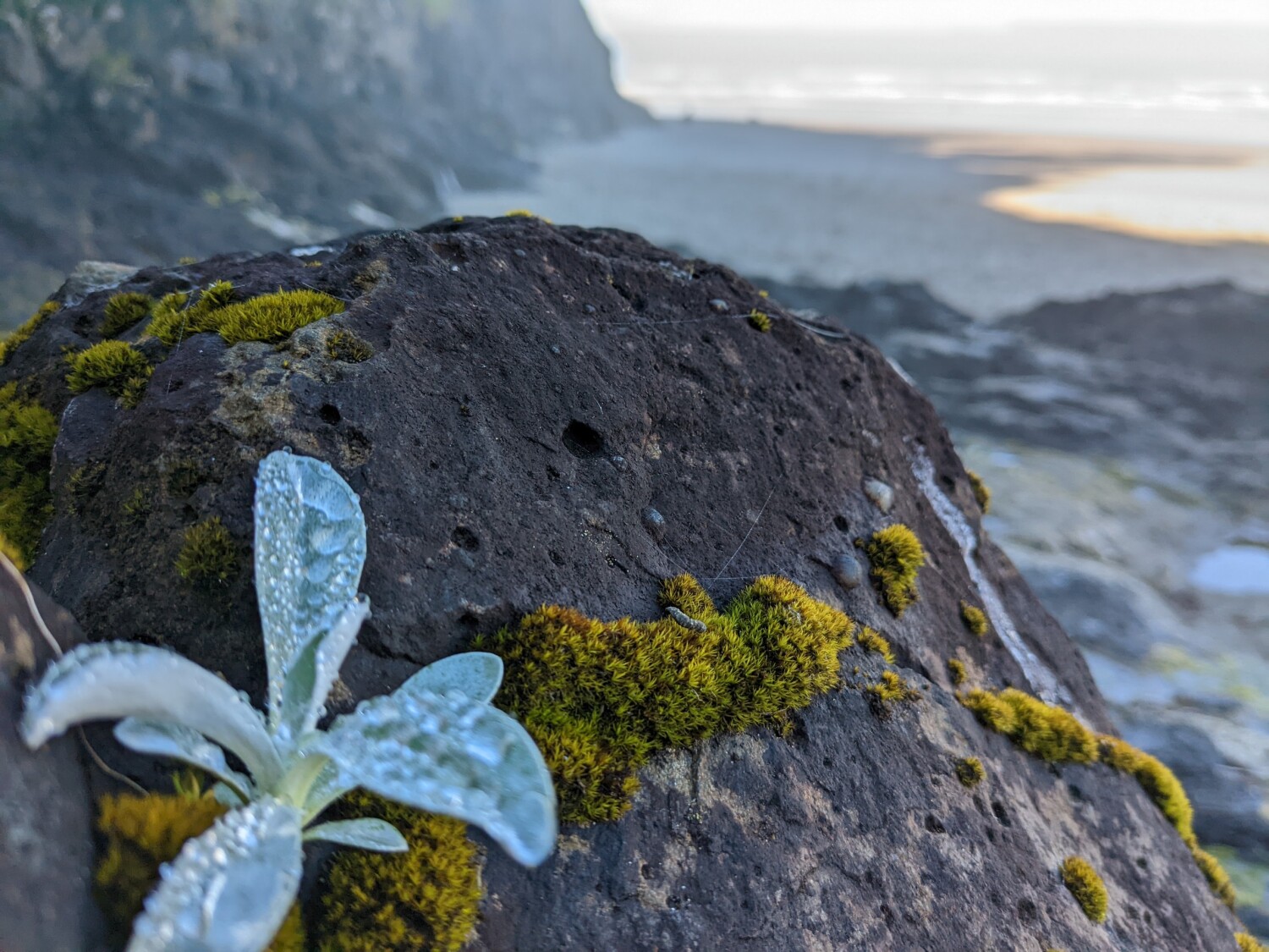 Cape Lookout can be beautiful!