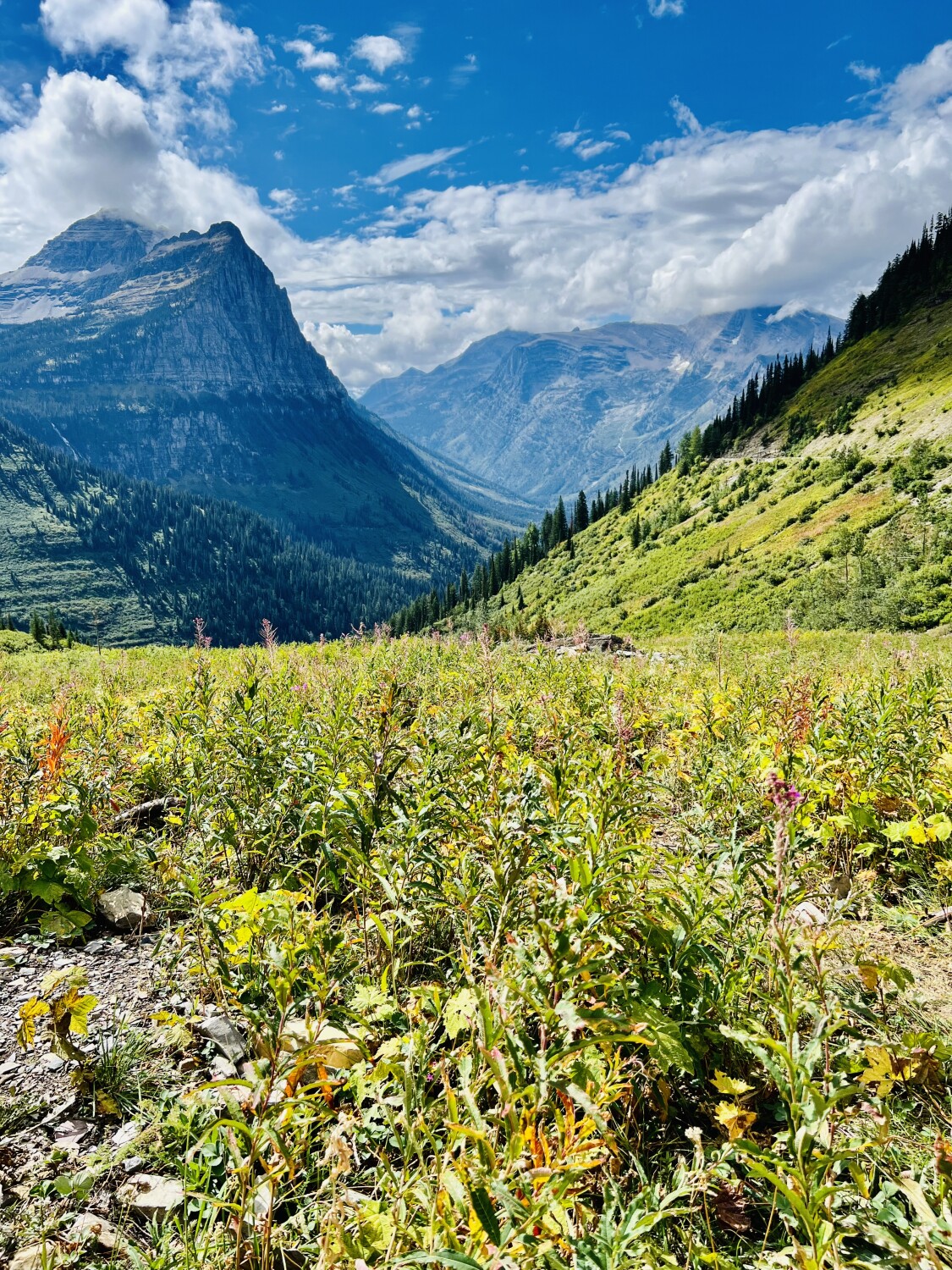 Glacier National Park