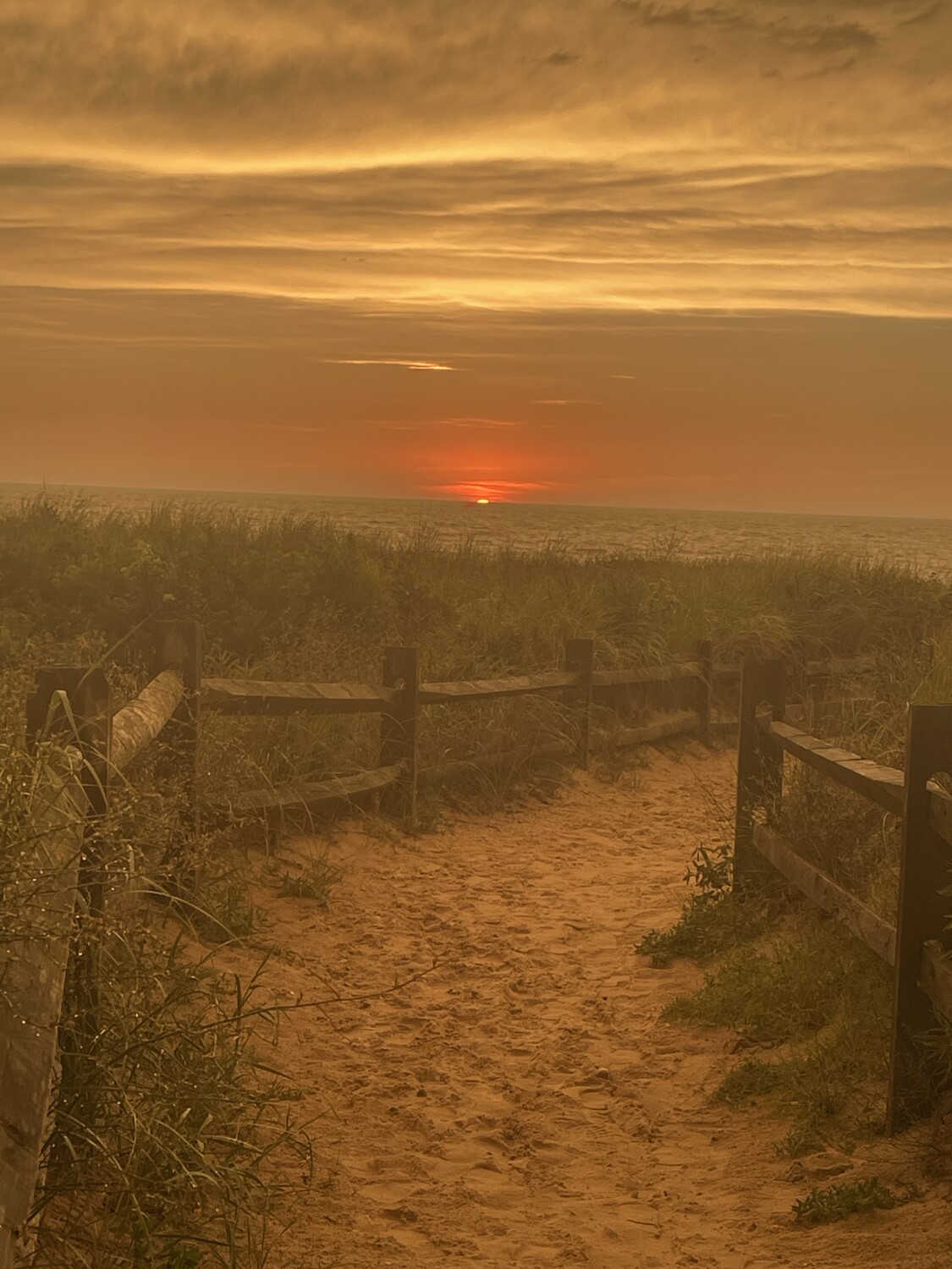 Sepia sunset