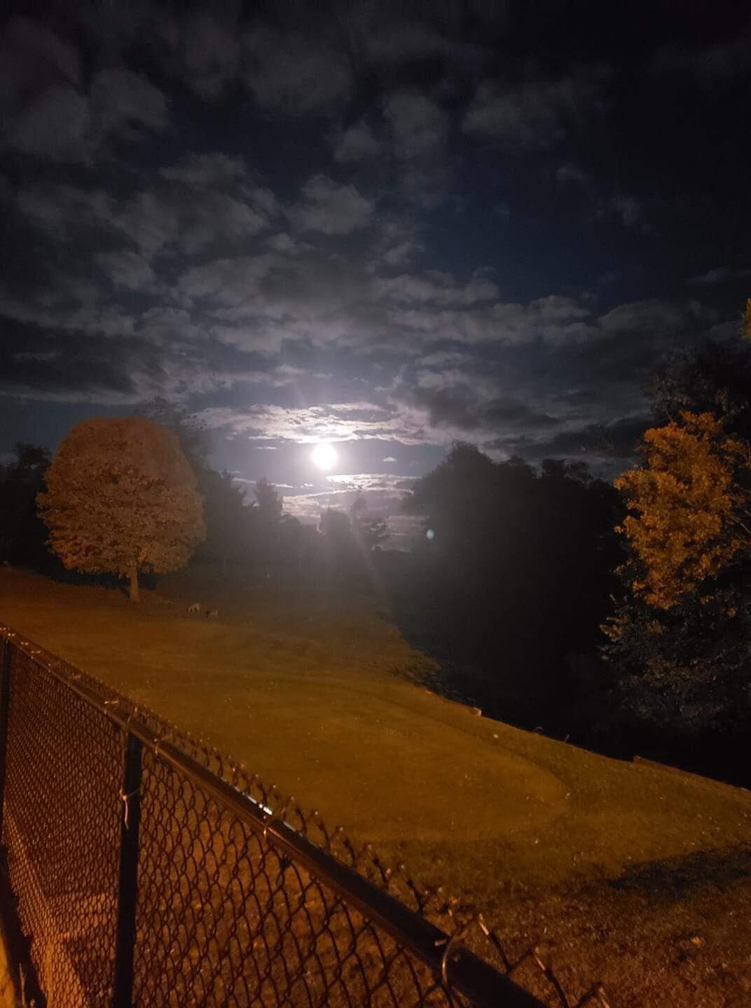 Beautiful fall nite moon