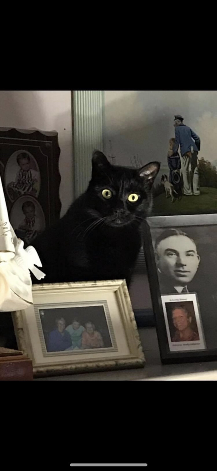 It was a Dark & Stormy Night