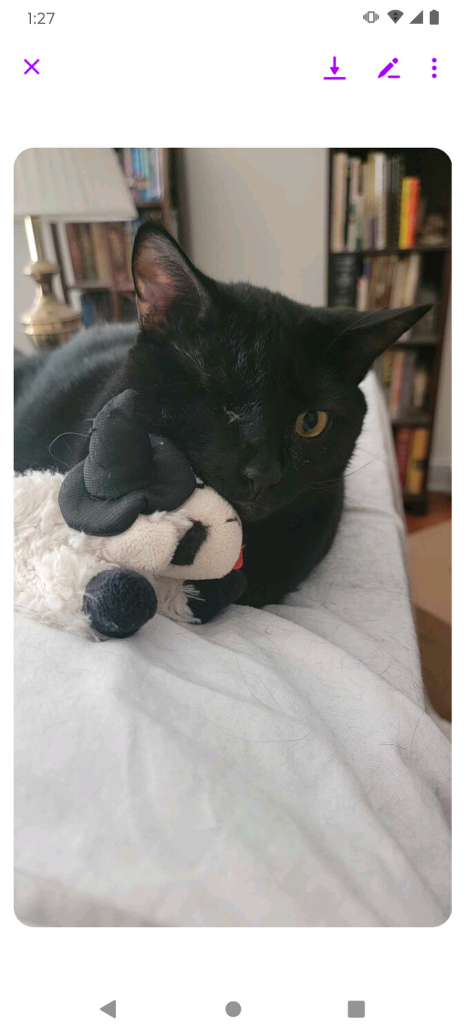 Sammy born with one eye