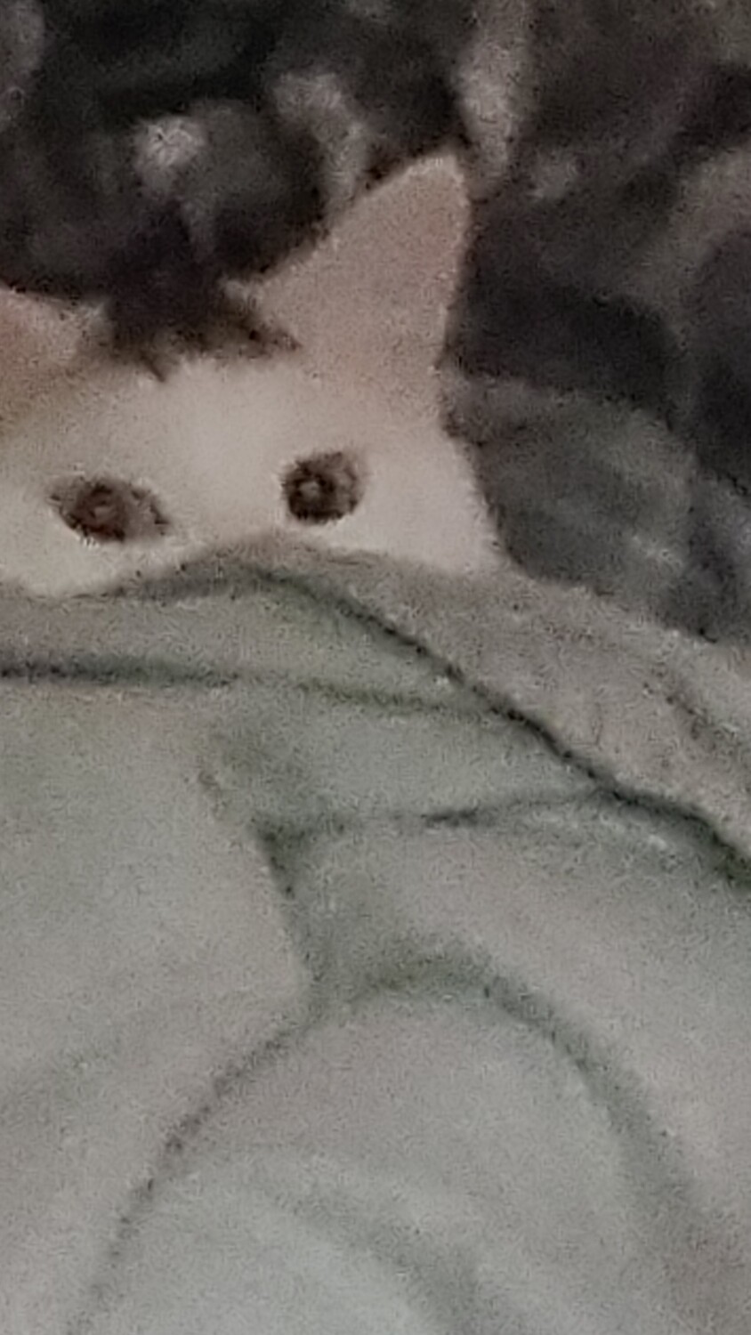 Arrow hiding his nose