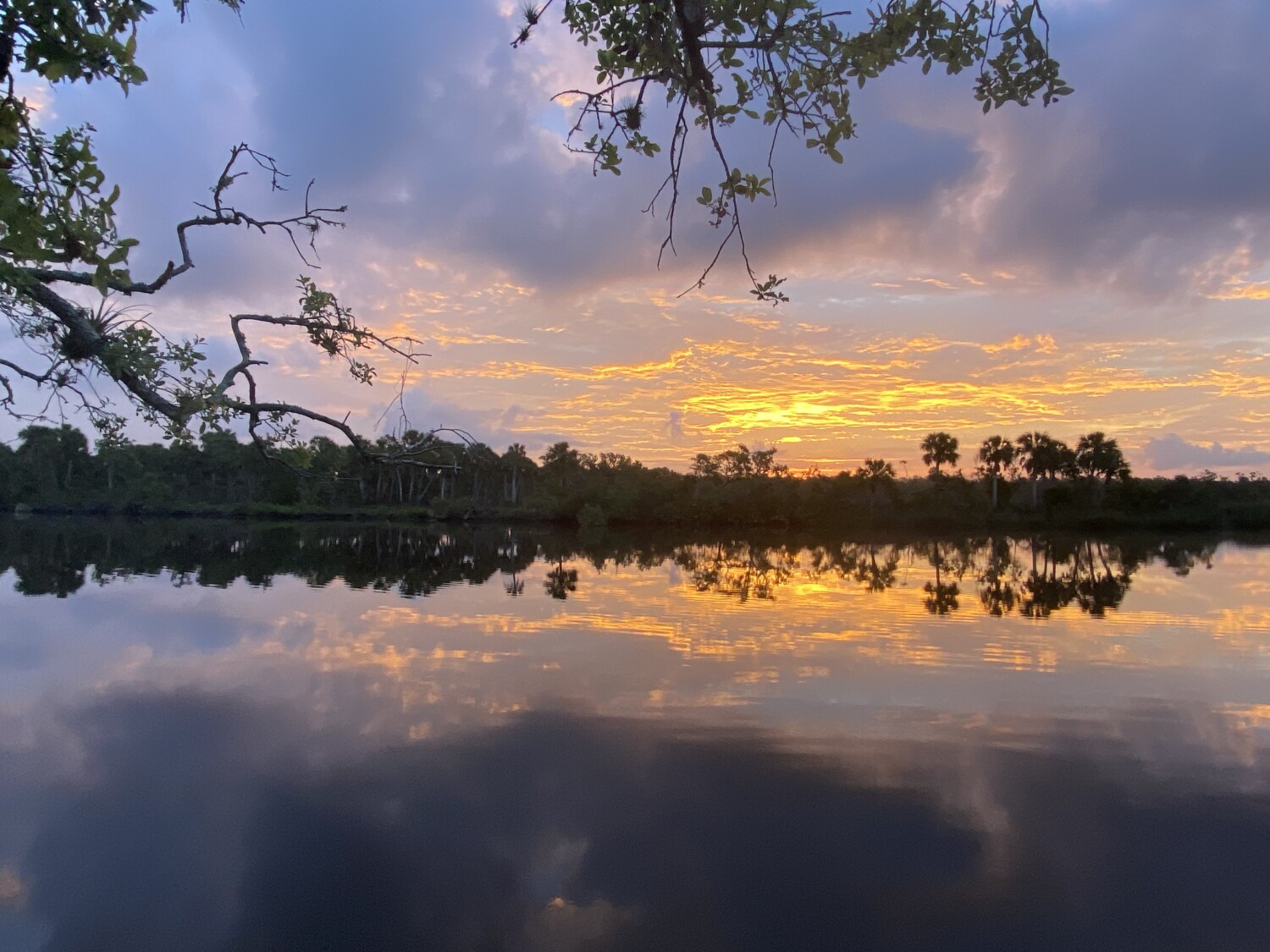 Sunset over the Myakka