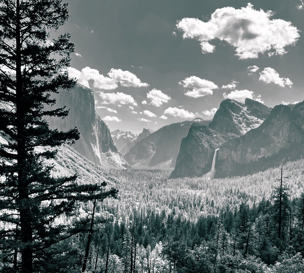 The Beauty of Yosemite