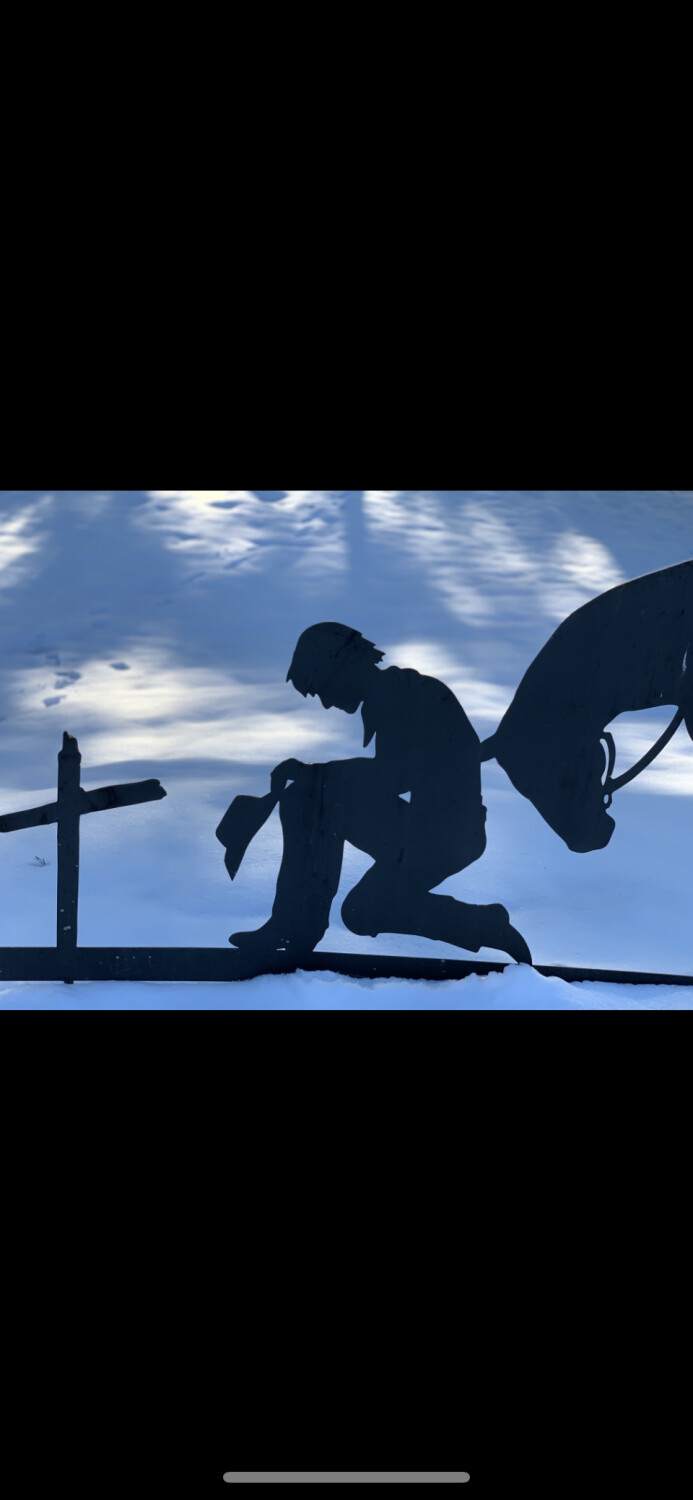 Dove watching over Cowboy