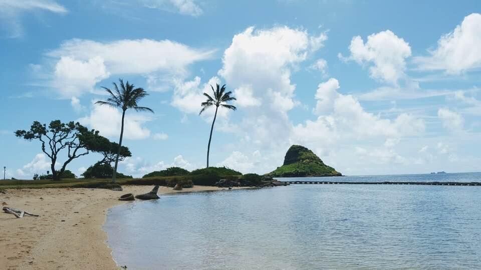 Chinaman’s  Hat at lead