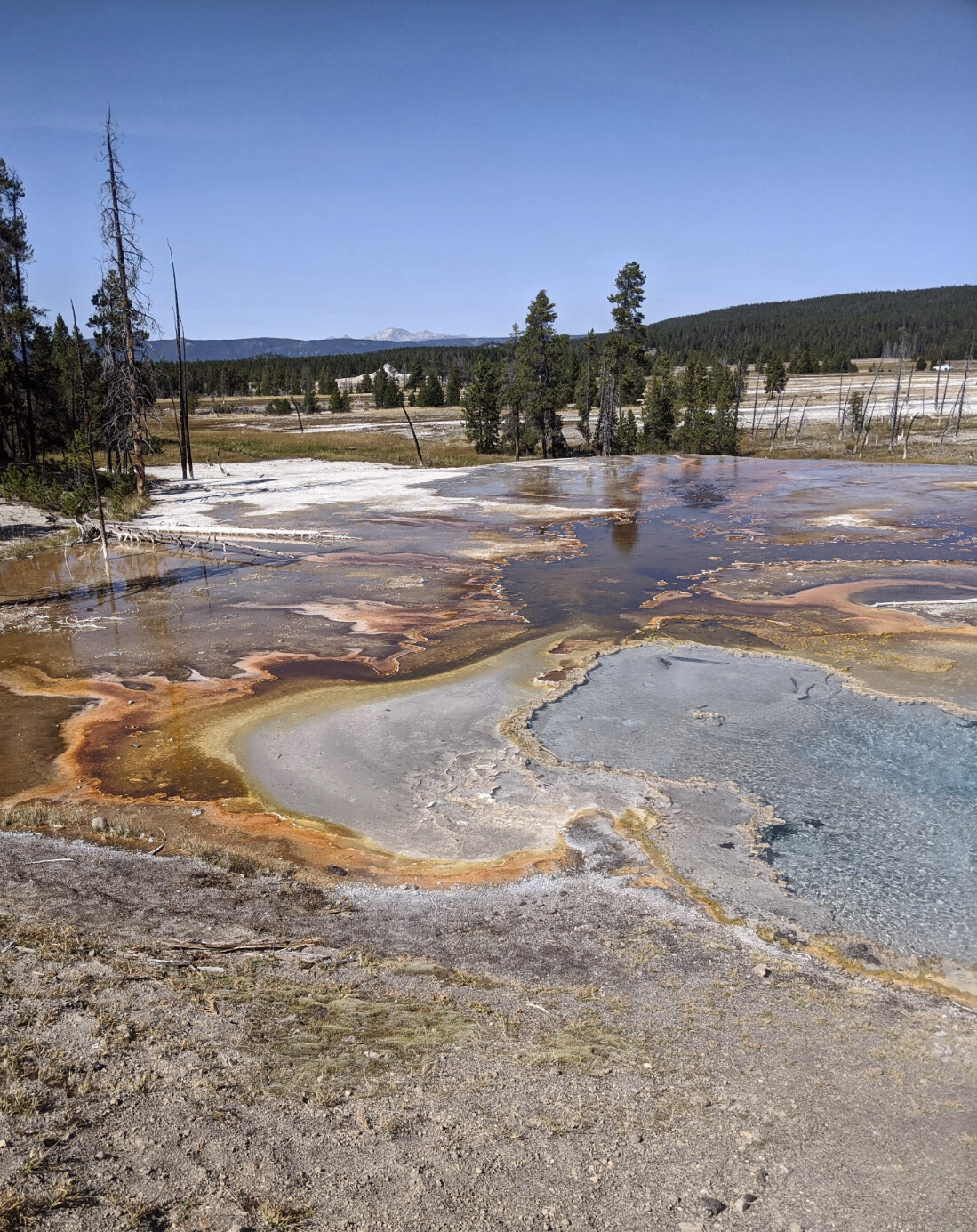Yellowstone Park