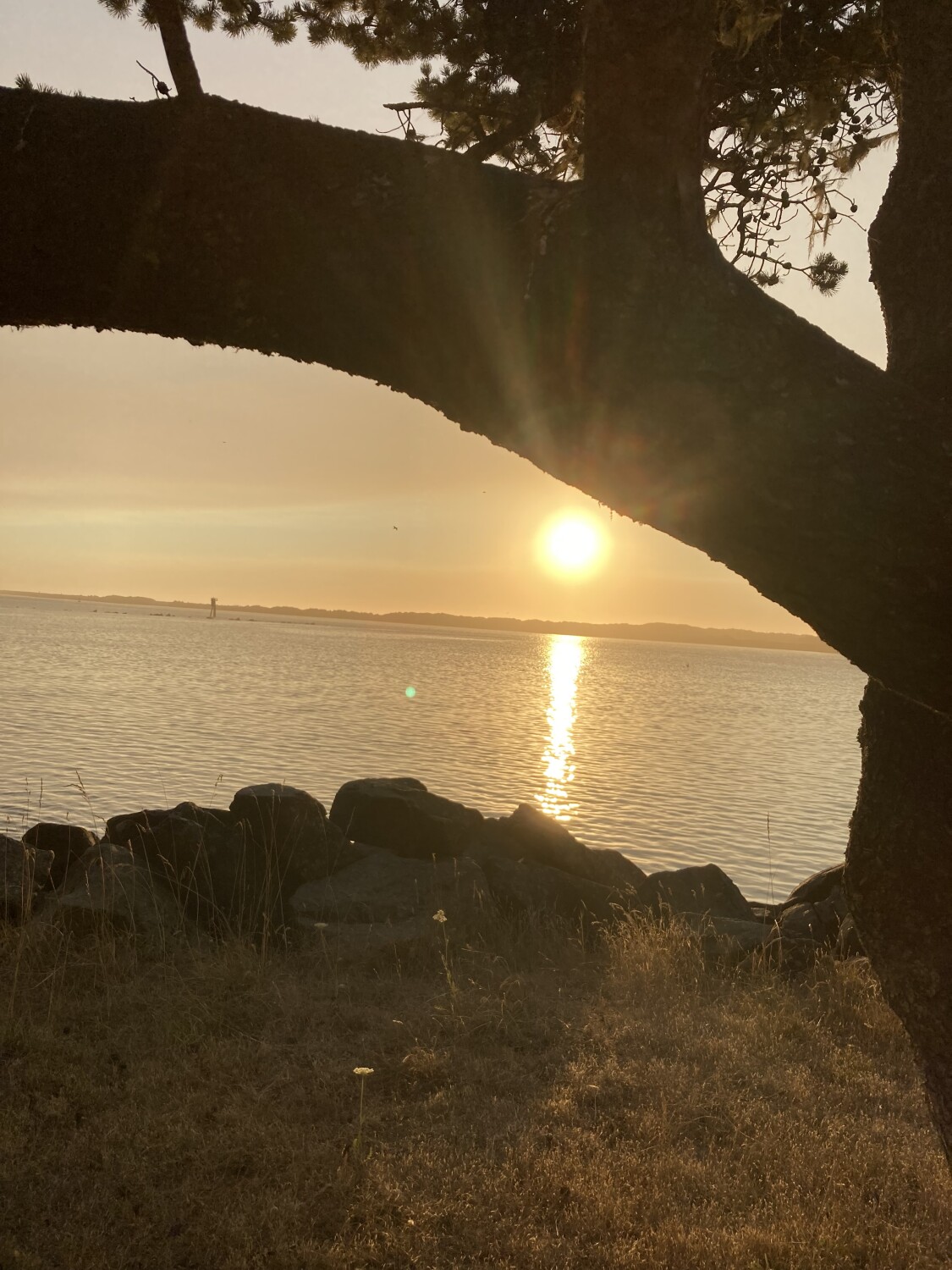 Sunset over Yaquina Bay