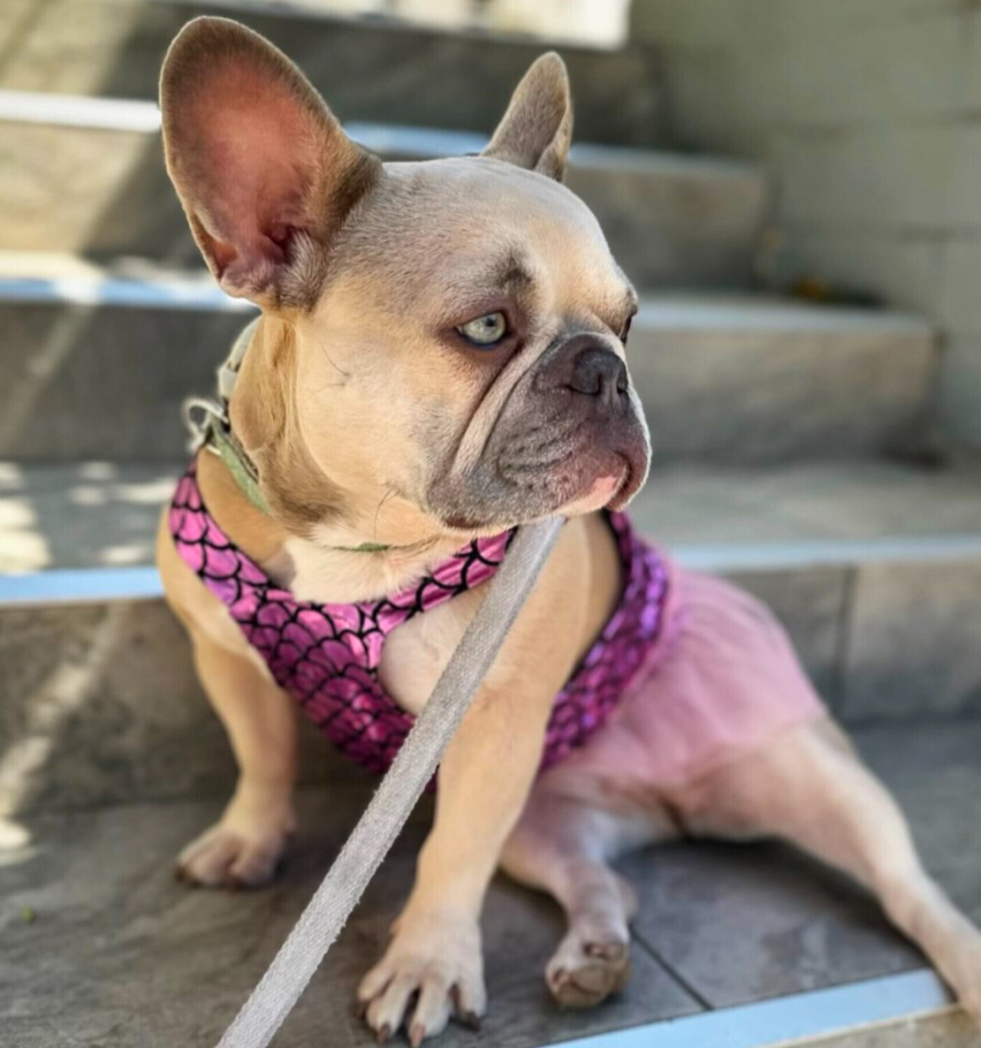 GiaLicious7 with Tutu dress