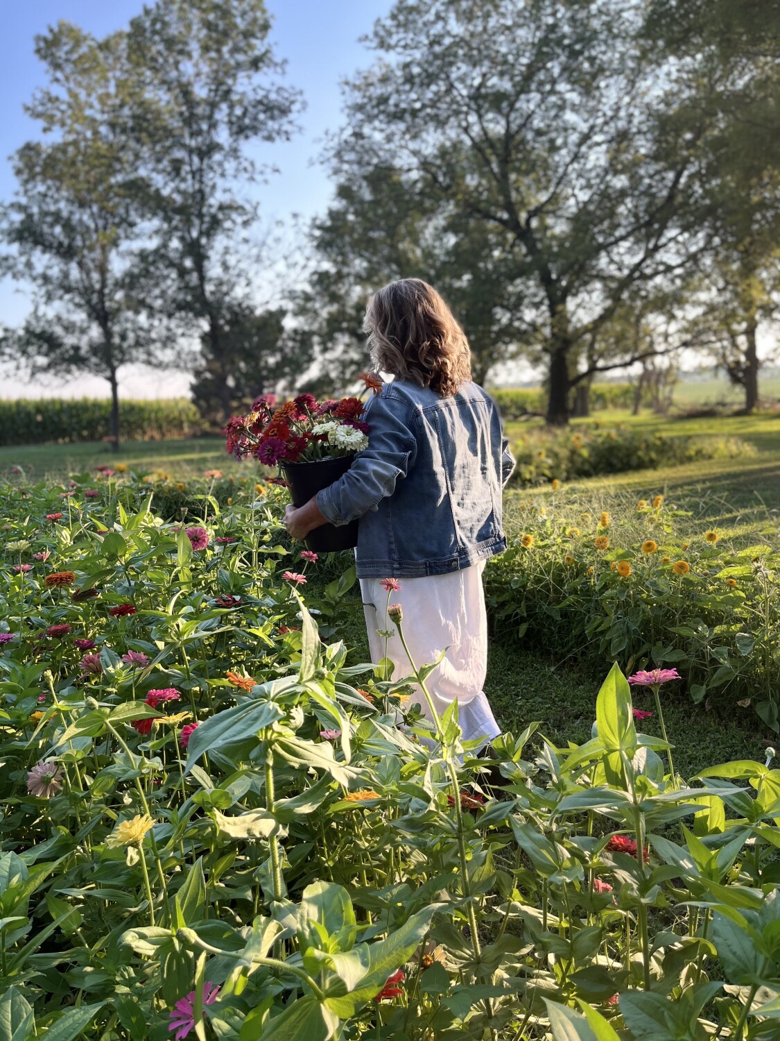 Nebraska Flower Farm