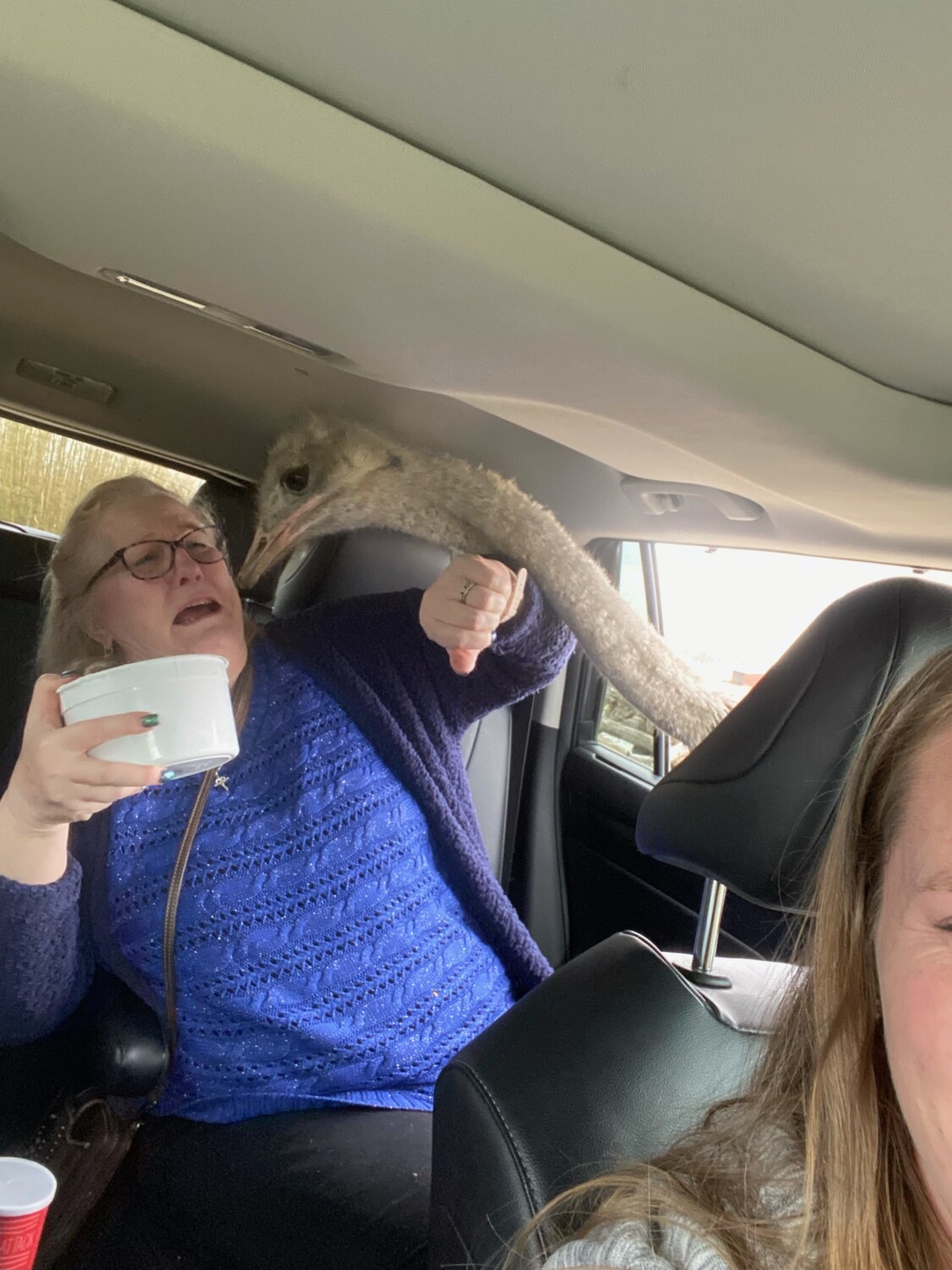 Rhonda and the ostrich attack