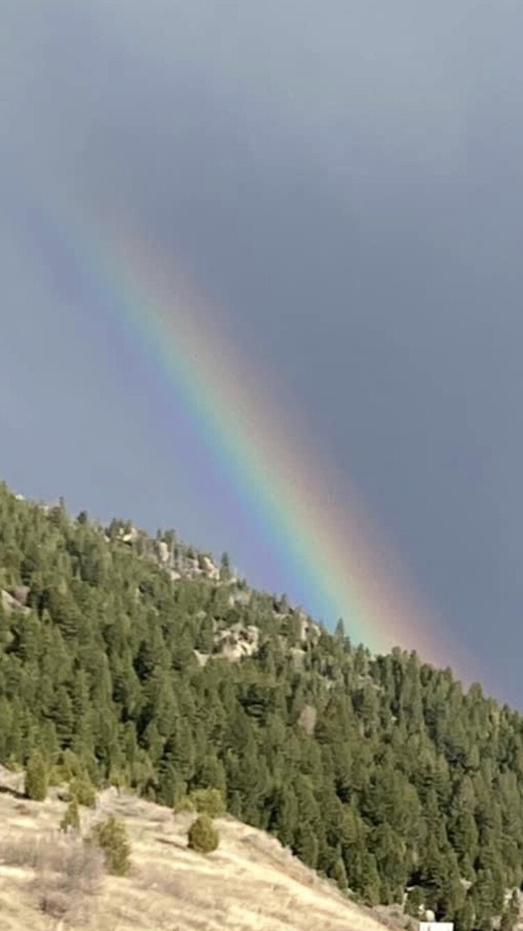 Natures Colorful Beauty