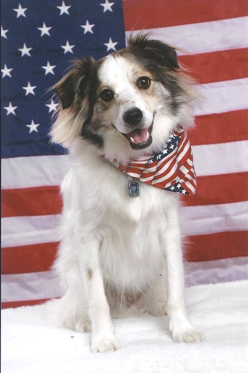 Patriotic Finn