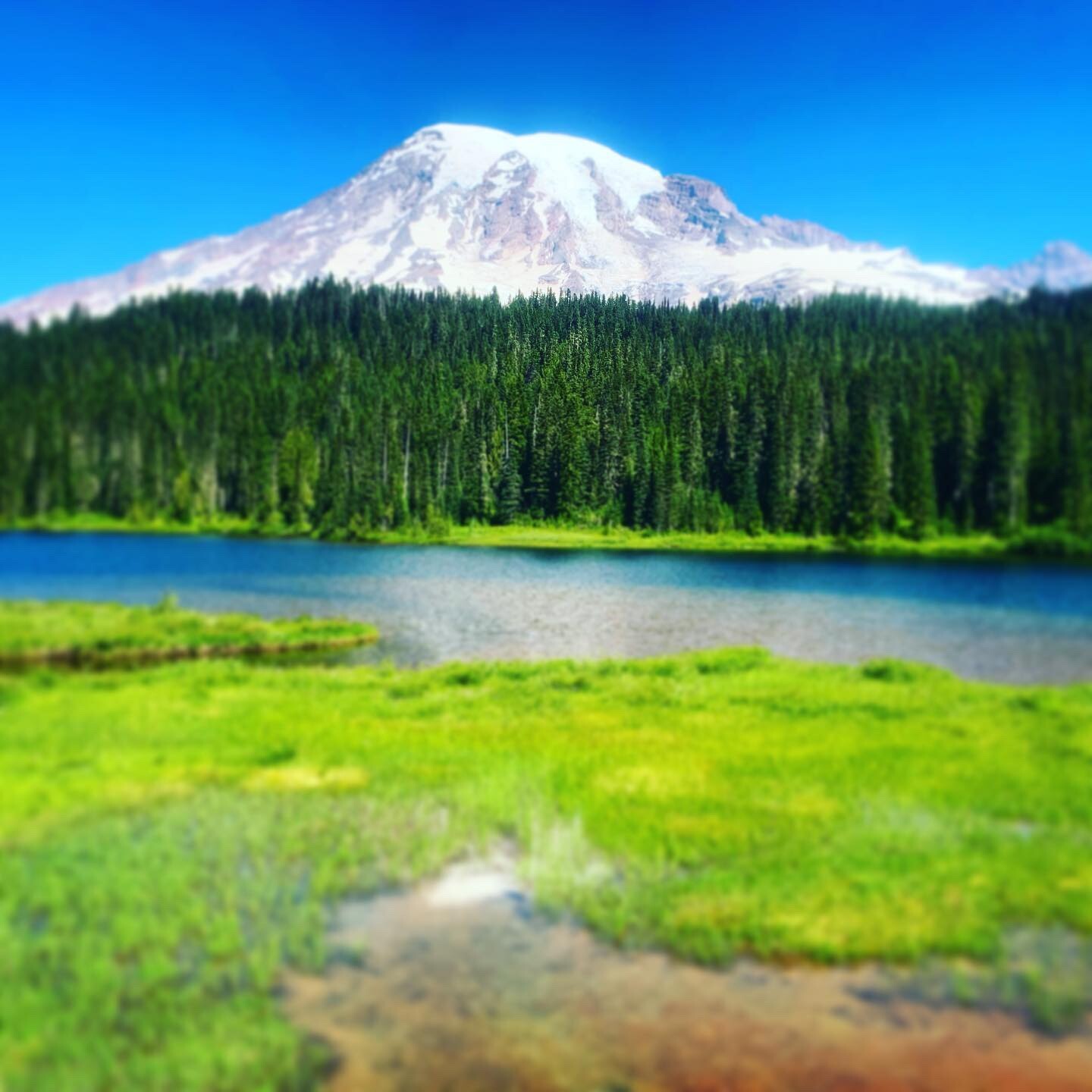 First trip to Mount Rainer