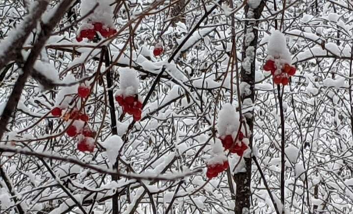 Scott's favorite place