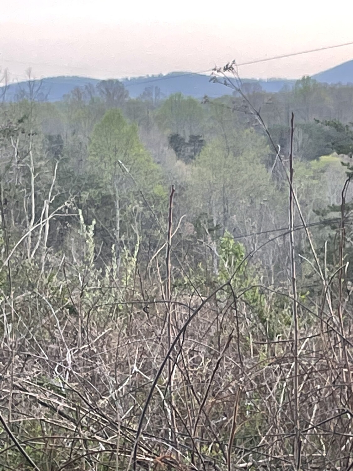 God’s Heart Of Love