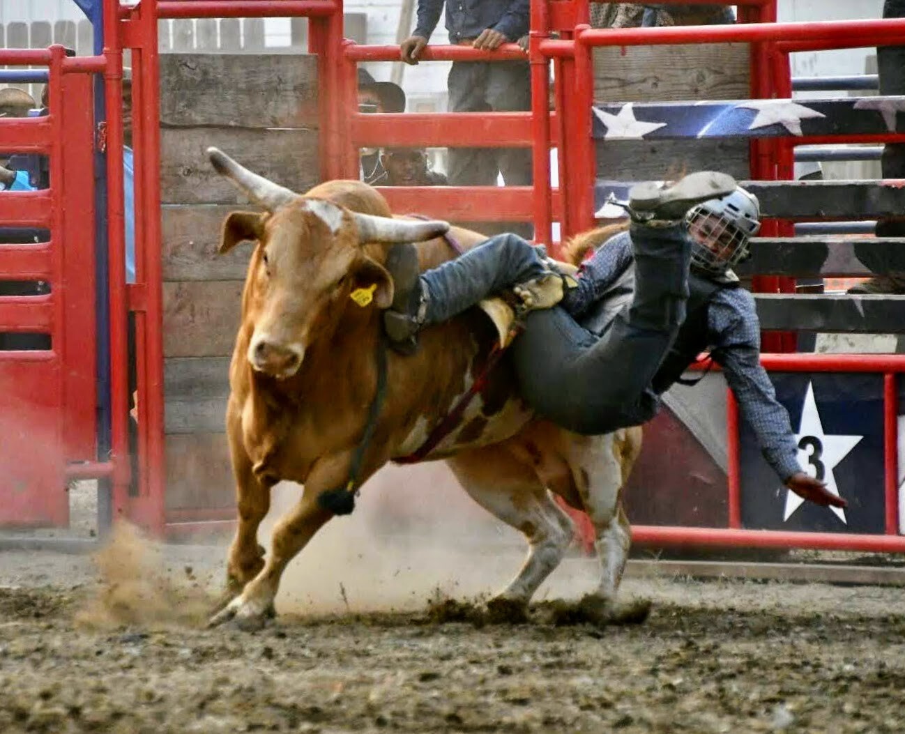 Midwest Rodeo at Michigan Wayne County Fairgrounds
