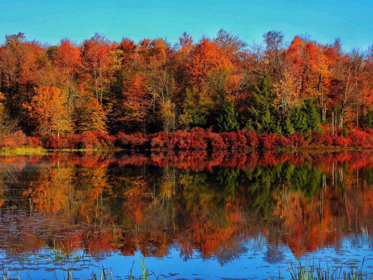 The reflection of Fall