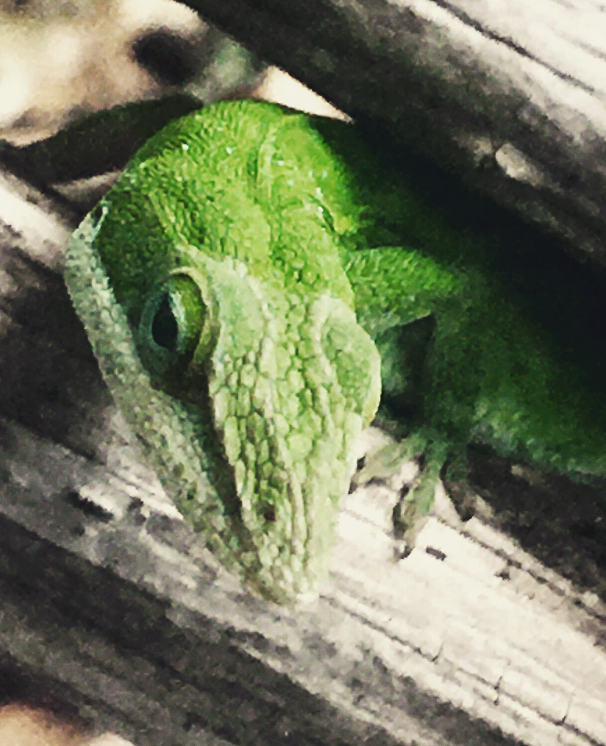 Are you looking at me?