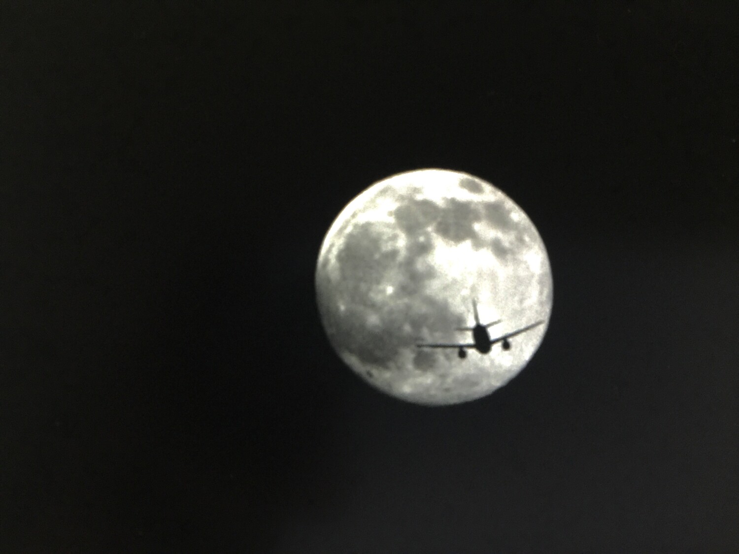 Fly me to the moon