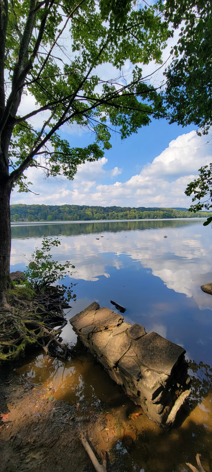 Reflections by the Lake