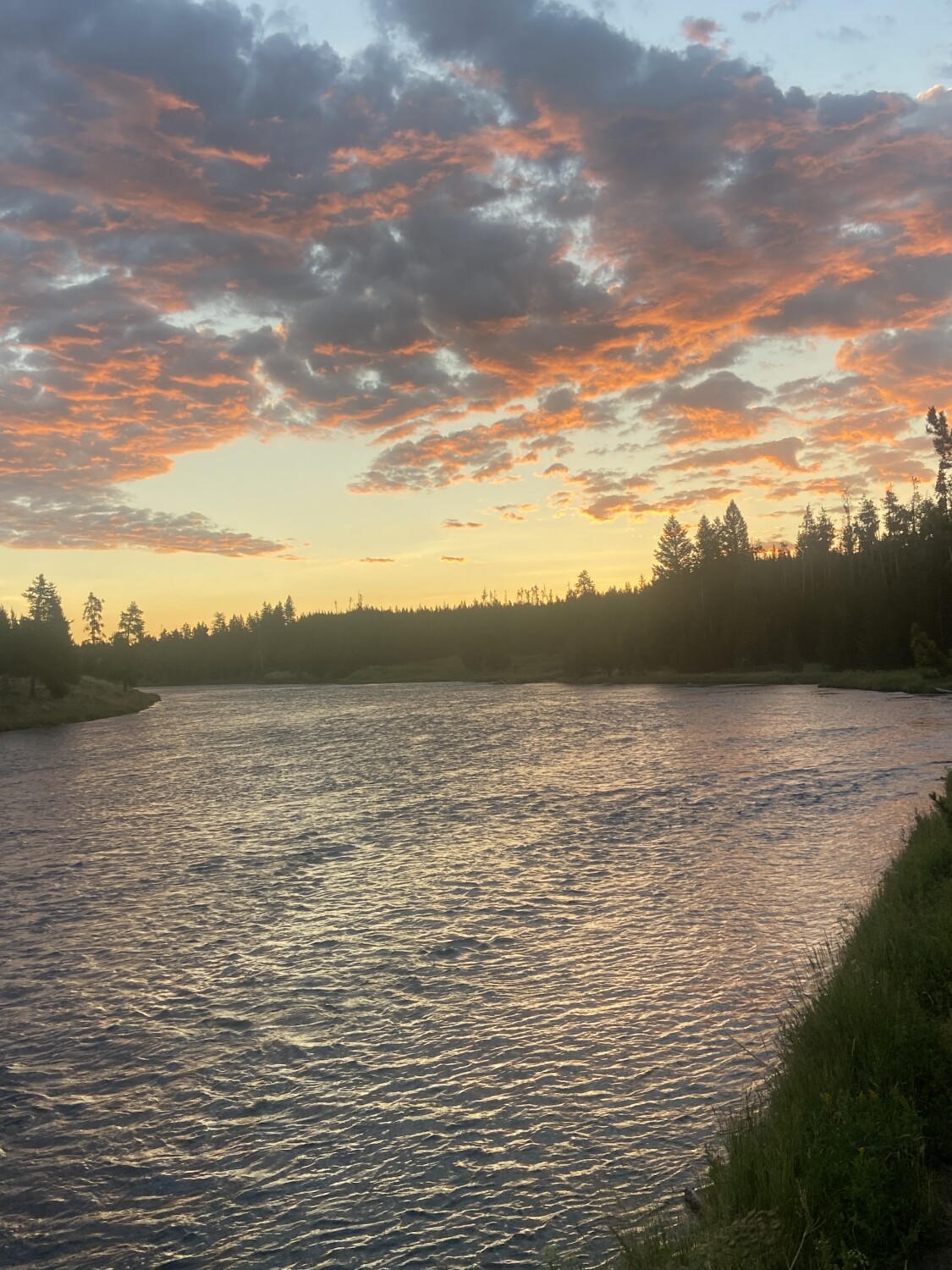 Yellowstone dawn