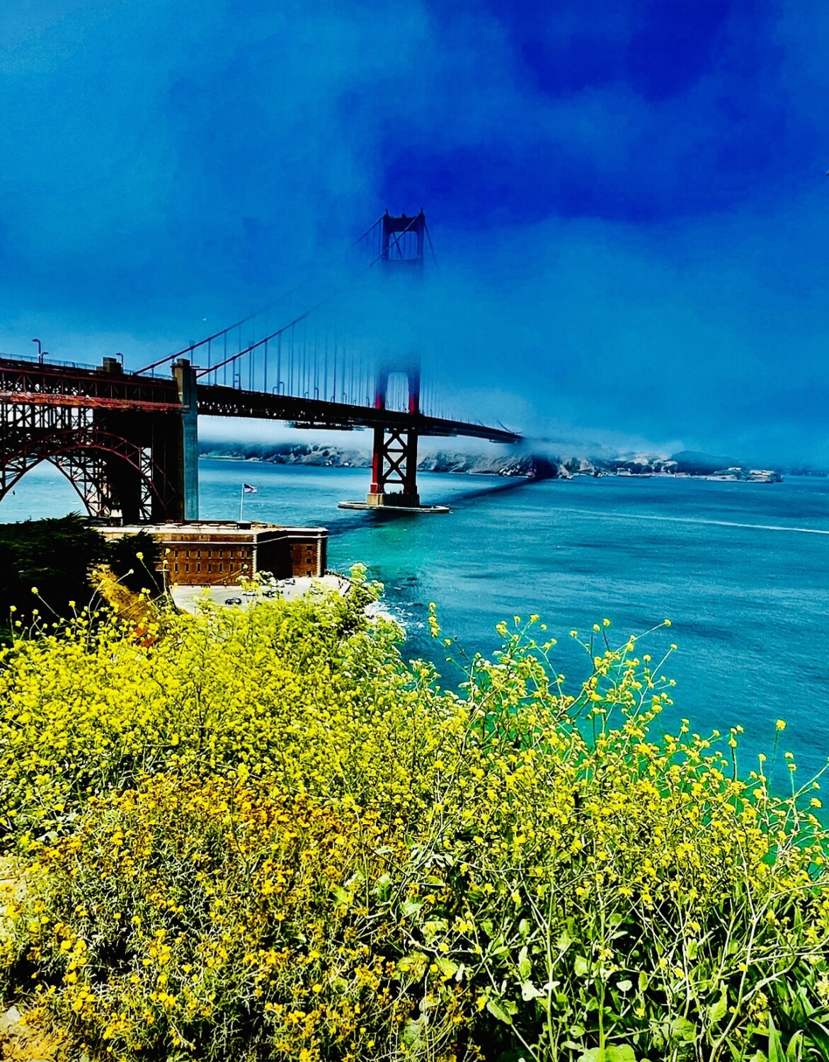 The beautiful San Francisco