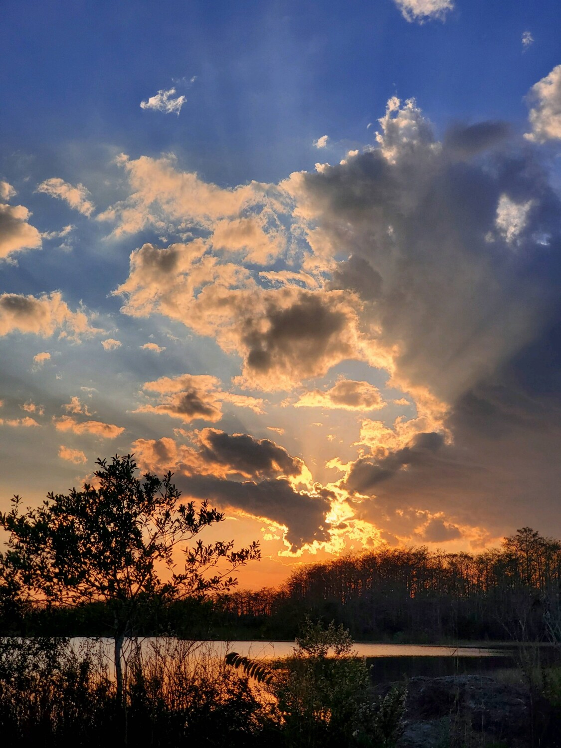 Sunset in the glades