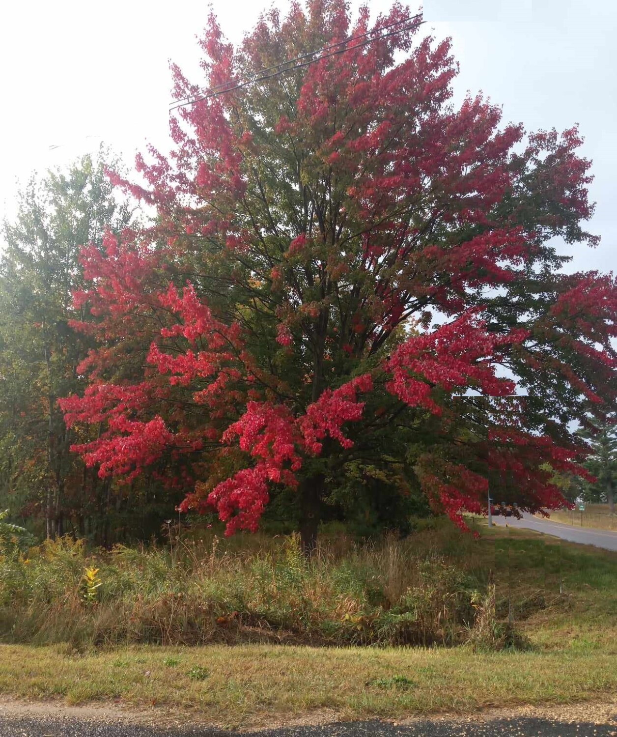 Autumn is here,,❣️