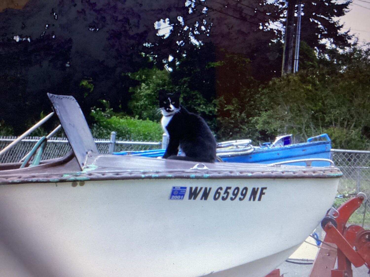 Pussy Cat Went to Sea.