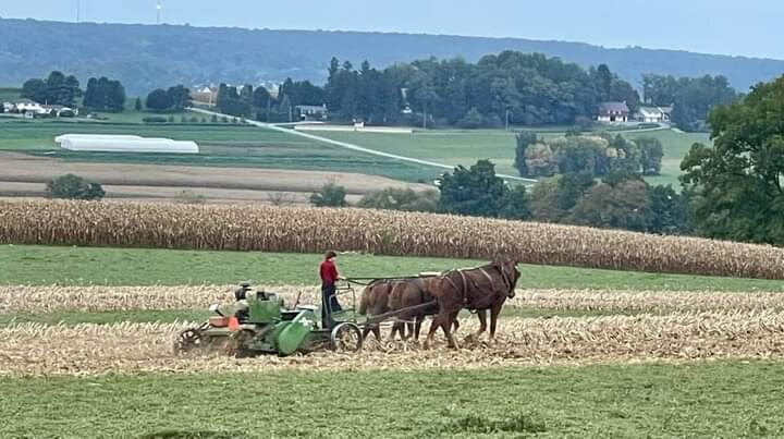 Amish  country