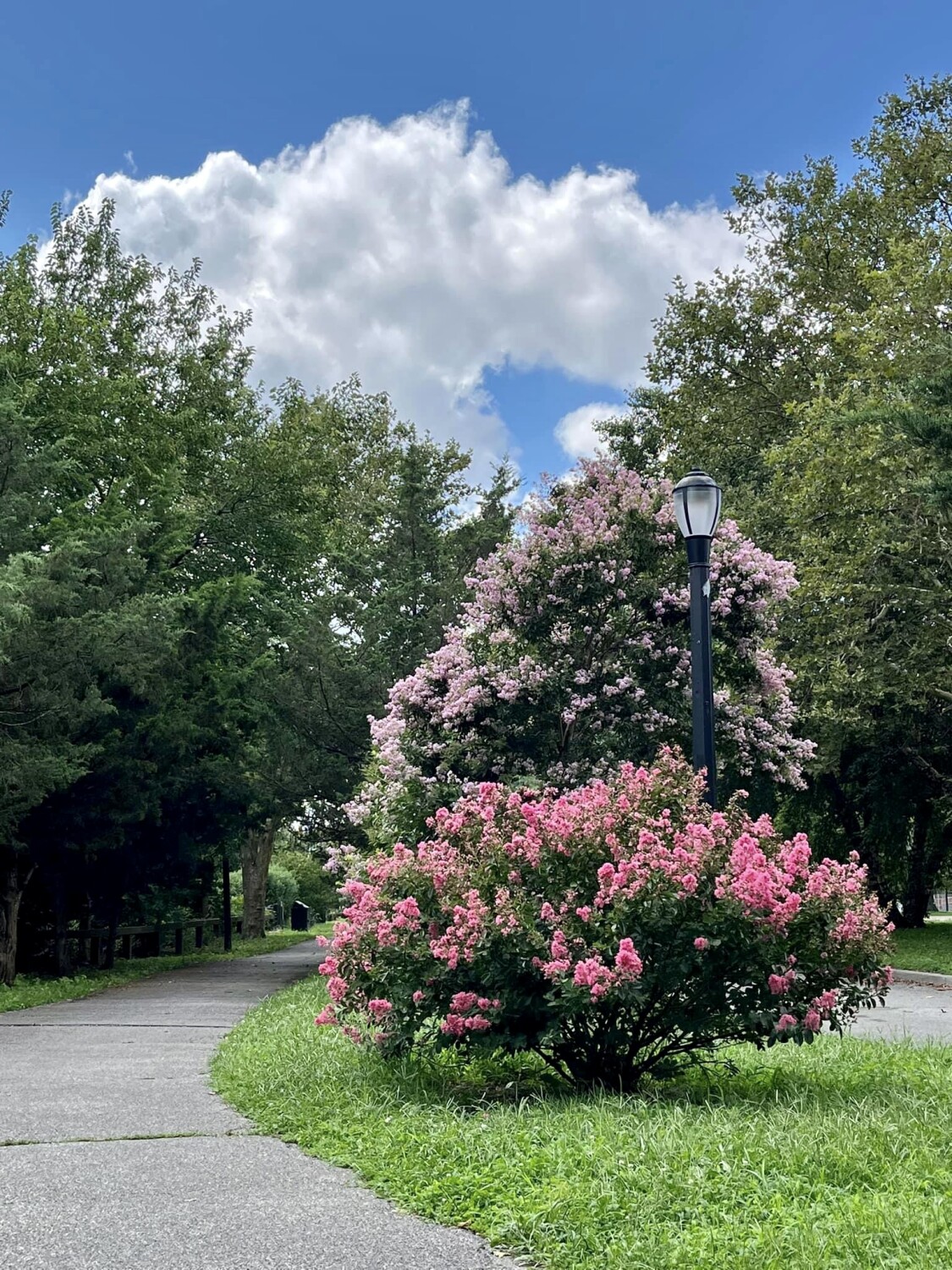 Follow Me To Another World