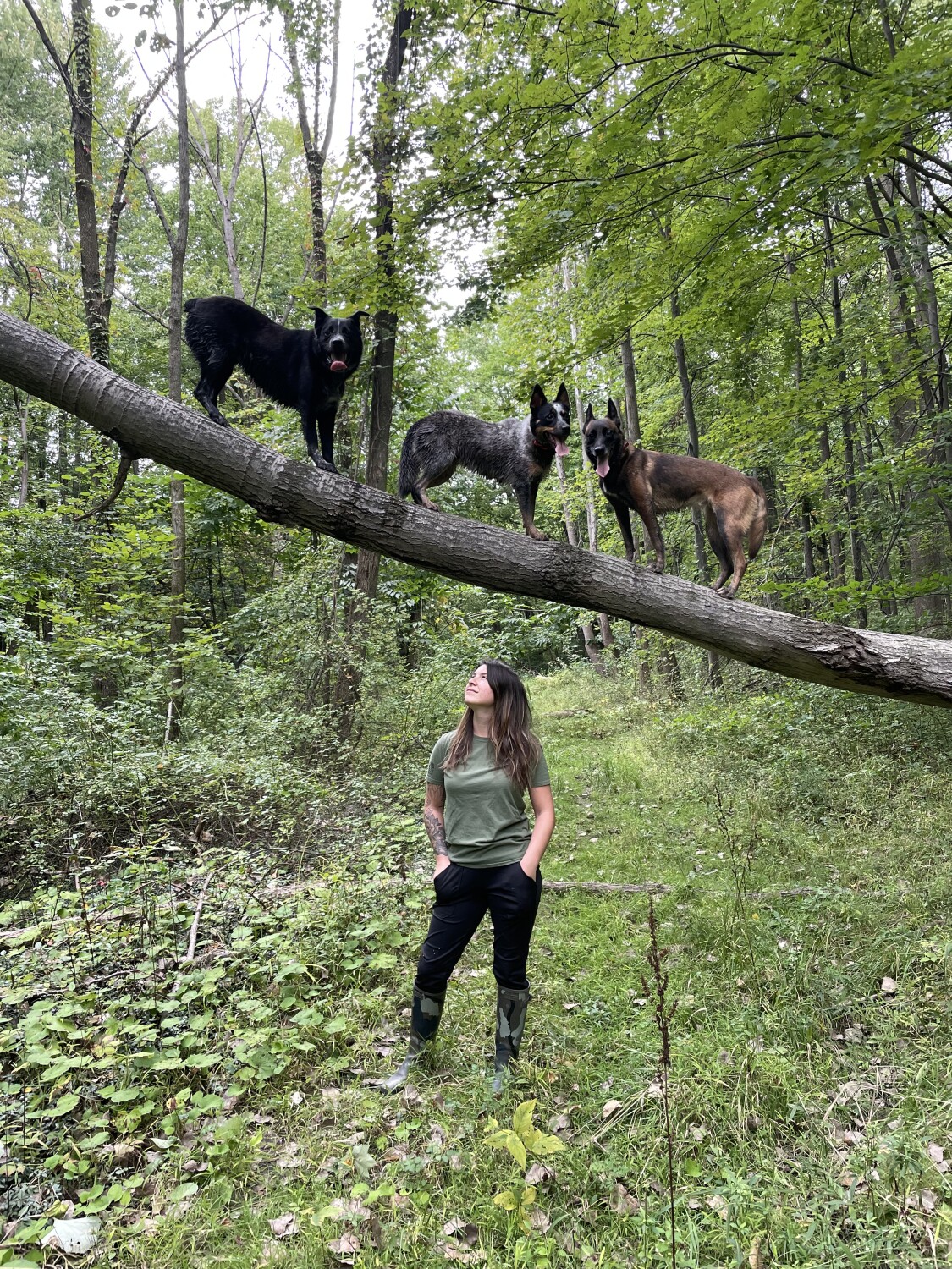 Everything I put above me