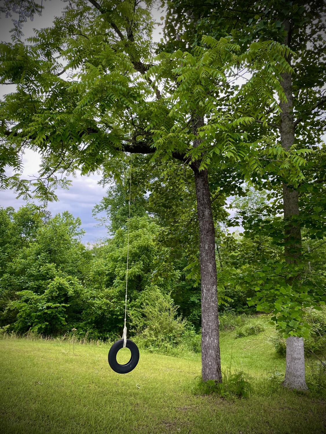 Quiet summer evening