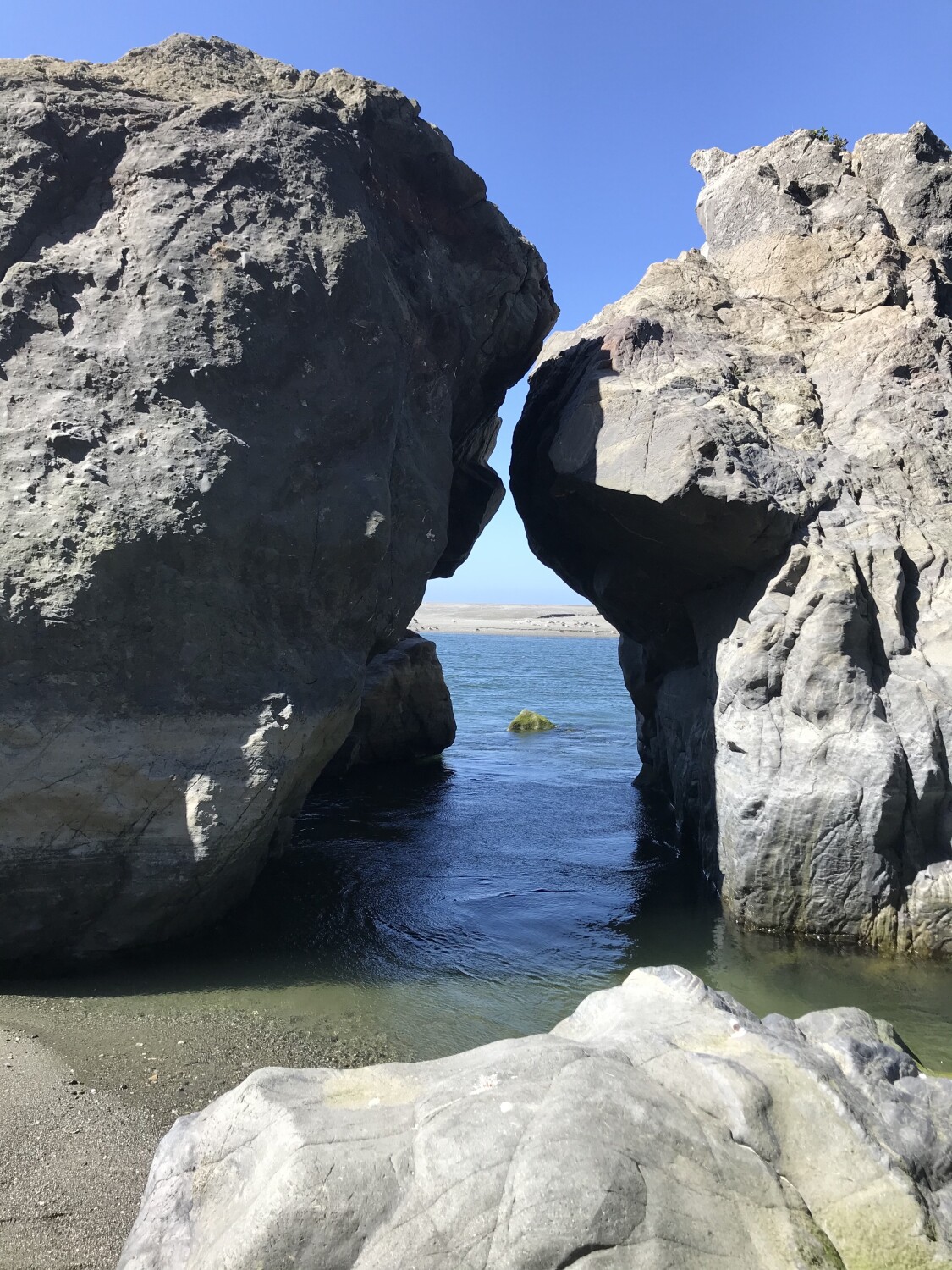 The beauty and the beast.