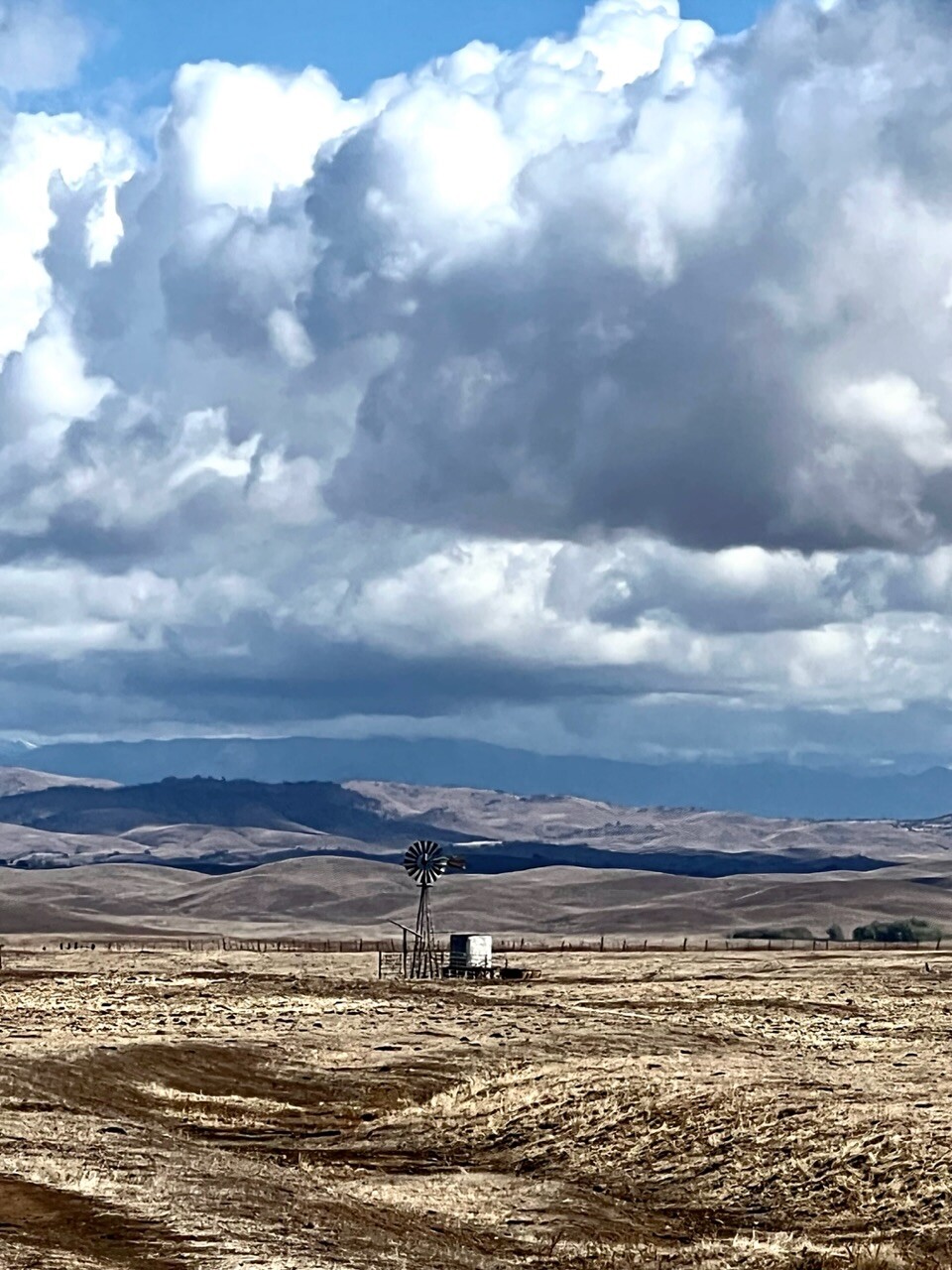 Windmill in spring time