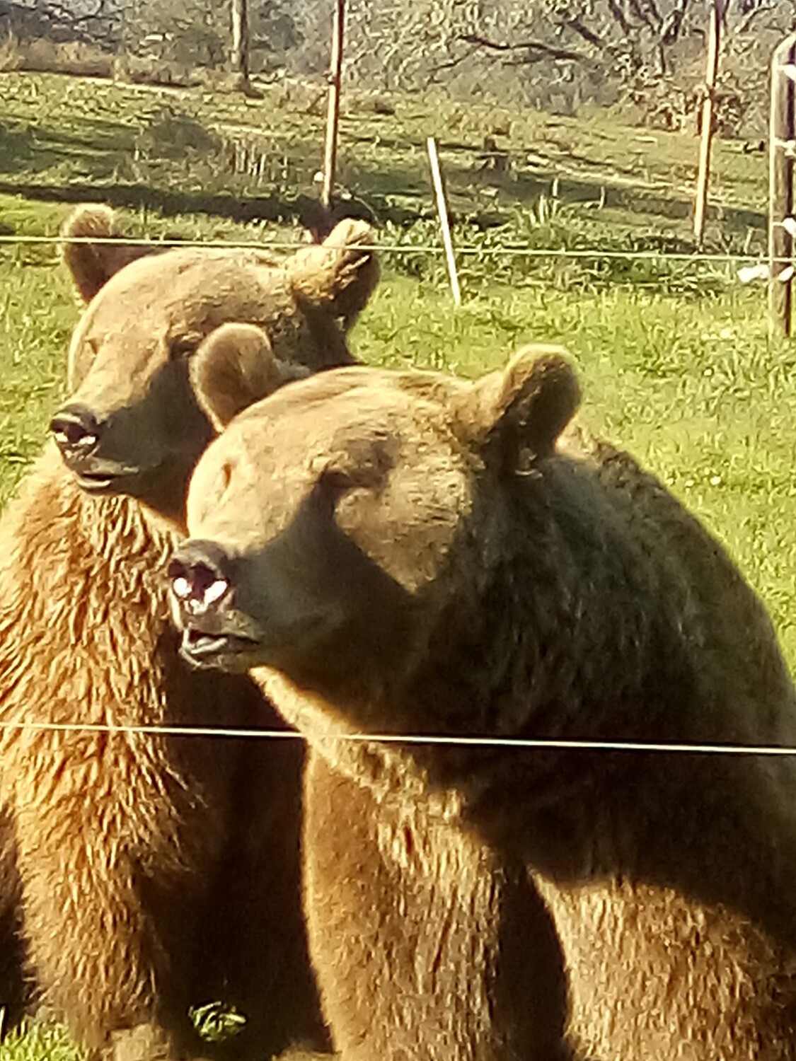 Majestic gaze of Nature.